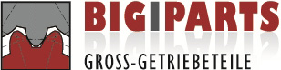 BIGIPARTS Großgetriebeteile - Zahnräder
